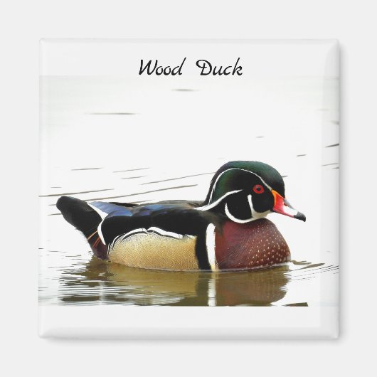 Hout Duck (man) Magneet (Voorkant)