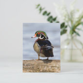 Hout Duck man op log in wetland Briefkaart (Staand voorkant)