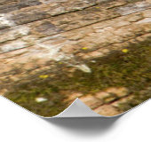 Hout Duck man op log in wetland Poster (Hoek)