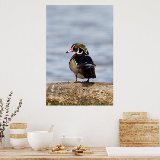 Hout Duck man op log in wetland Poster (Keuken)