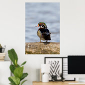 Hout Duck man op log in wetland Poster (Thuiskantoor)