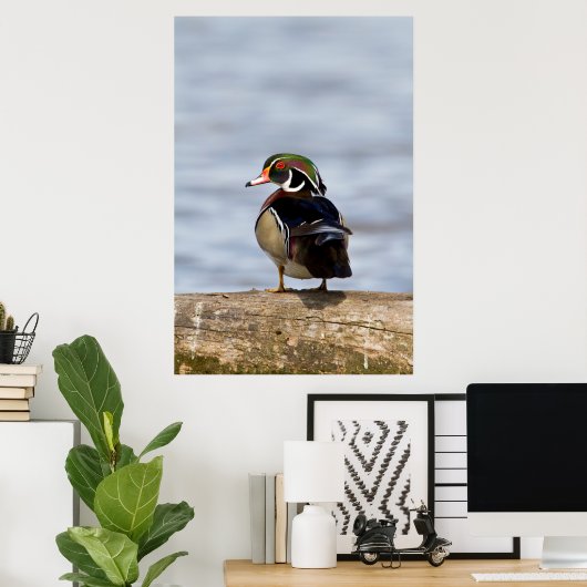 Hout Duck man op log in wetland Poster (Thuiskantoor)