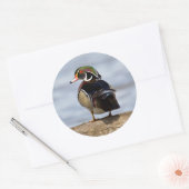 Hout Duck man op log in wetland Ronde Sticker (Envelop)