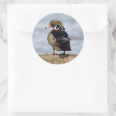 Hout Duck man op log in wetland Ronde Sticker (Tas)