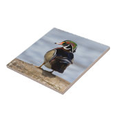 Hout Duck man op log in wetland Tegeltje (Zijkant)