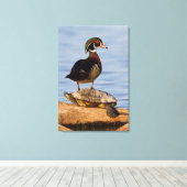 Hout Duck man op Red-oorige Slider Canvas Afdruk (Insitu (Houten vloer))
