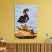 Hout Duck man op Red-oorige Slider Canvas Afdruk (Insitu (Woonkamer))