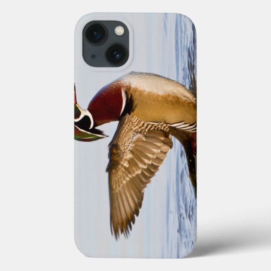 Hout Duck mantel flapping wings in wetland Case-Mate iPhone Case (Achterkant)