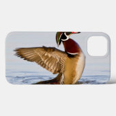 Hout Duck mantel flapping wings in wetland Case-Mate iPhone Case (Achterkant (horizontaal))