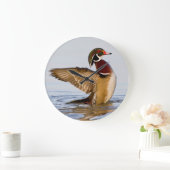 Hout Duck mantel flapping wings in wetland Grote Klok (Huis)