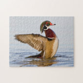 Hout Duck mantel flapping wings in wetland Legpuzzel (Horizontaal)