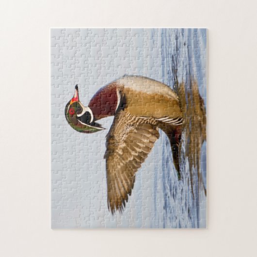 Hout Duck mantel flapping wings in wetland Legpuzzel (Verticaal)
