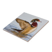 Hout Duck mantel flapping wings in wetland Tegeltje (Zijkant)