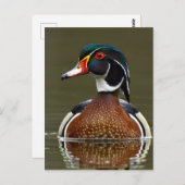 Hout Duck on Water Briefkaart (Voorkant / Achterkant)