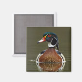 Hout Duck on Water Magneet (Voorkant / Achterkant)