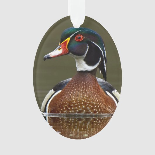 Hout Duck on Water Ornament (voorkant)