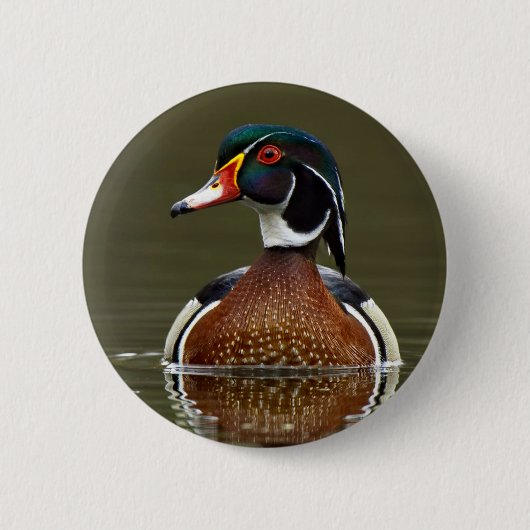 Hout Duck on Water Ronde Button 5,7 Cm (Voorkant)