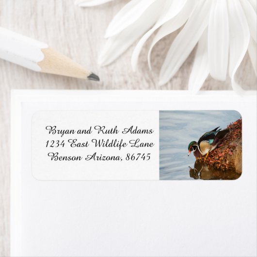 Hout Duck op de Shore Etiket (Insitu)