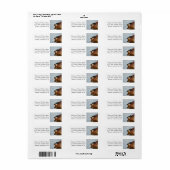 Hout Duck op de Shore Etiket (Full Sheet)