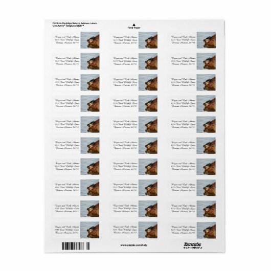 Hout Duck op de Shore Etiket (Full Sheet)