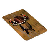 Hout Duck op Golden Lake Magneet (Rechterzijde)