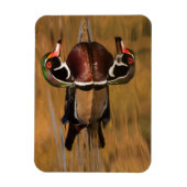 Hout Duck op Golden Lake Magneet (Verticaal)