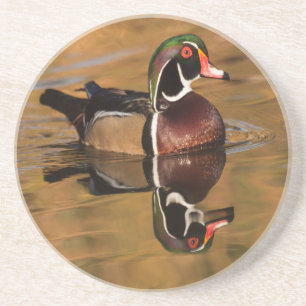 Hout Duck op Golden Lake Zandsteen Onderzetter