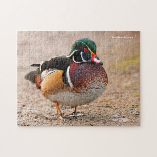 Hout Duck op grvel Legpuzzel