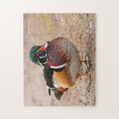 Hout Duck op grvel Legpuzzel (Verticaal)