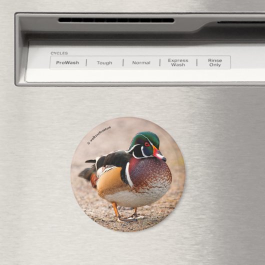 Hout Duck op grvel Magneet (Insitu (Vaatwasser))