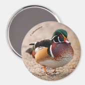 Hout Duck op grvel Magneet (Voorkant / Achterkant)