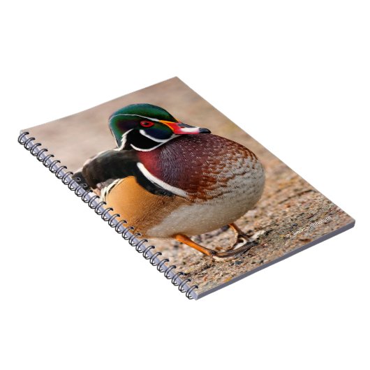Hout Duck op grvel Notitieboek (Rechterzijde)