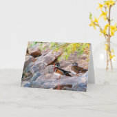 Hout Duck Pair All Occassions Kaart (Gele Bloem)