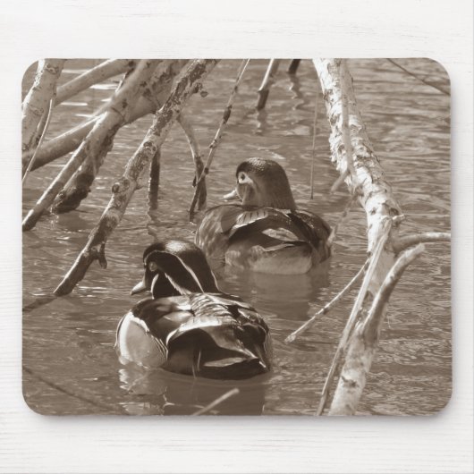 Hout Duck Pair in Sepia Muismat (Voorkant)