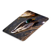 Hout Duck Premium Magnet Magneet (Linkerzijde)