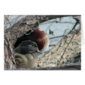 Hout Ducks (Voorkant Horizontaal)