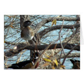 Hout Ducks (Voorkant Horizontaal)