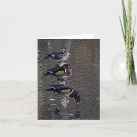 Hout Ducks op Branch Kaart (Voorkant)