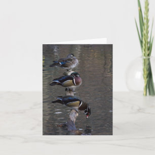 Hout Ducks op Branch Kaart