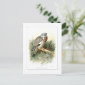 Hout-duif Briefkaart (Staand voorkant)