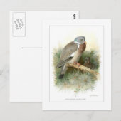 Hout-duif Briefkaart (Voorkant / Achterkant)