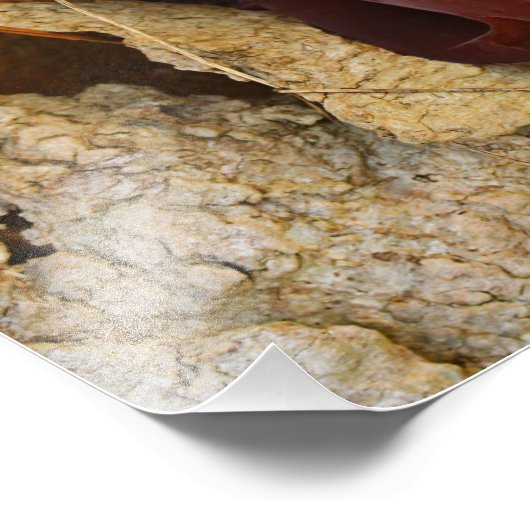 Hout Ear Mushroom Foto Afdruk (Hoek)