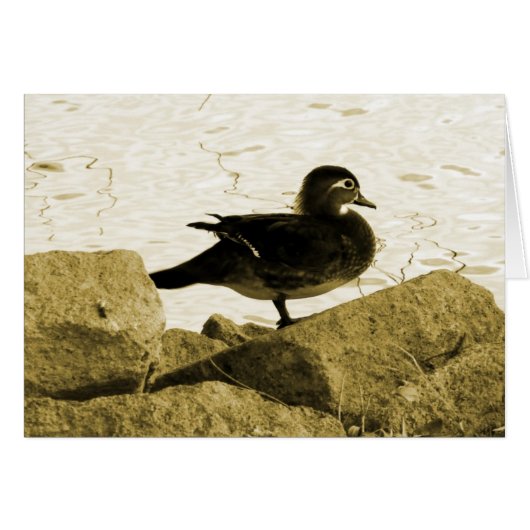 Hout eend hen (Voorkant Horizontaal)