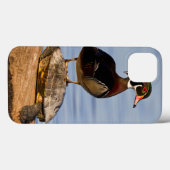 Hout eend mannetje staand op roodwangschildpad Case-Mate iPhone case (Achterkant (horizontaal))