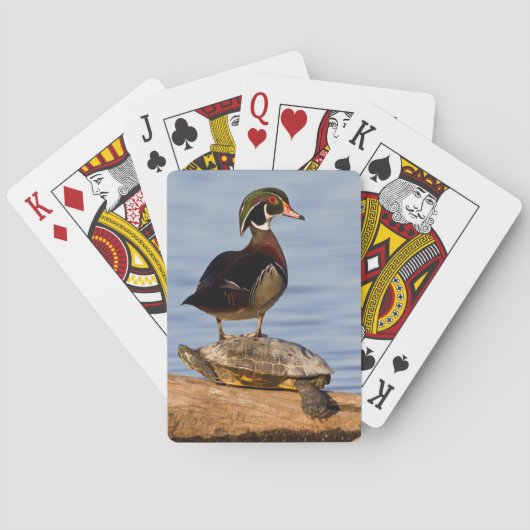 Hout eend mannetje staand op roodwangschildpad pokerkaarten (Achterkant)