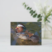 Hout-eend met een anekleurtje briefkaart (Staand voorkant)