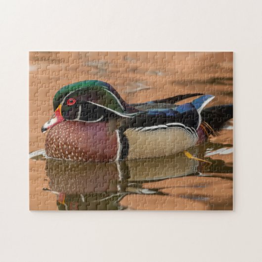 Hout eend zwemt in water legpuzzel (Horizontaal)