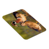 Hout Eenden en vrouw op het inloggen van wetland Magneet (Rechterzijde)