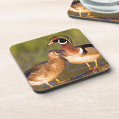 Hout Eenden en vrouw op het inloggen van wetland Onderzetter (Linkerzijde)