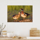 Hout Eenden en vrouw op het inloggen van wetland Poster (Keuken)
